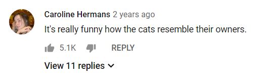 Caroline Hermans Walking Cats