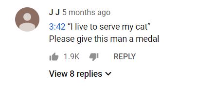J J Serve Cat Egyptian