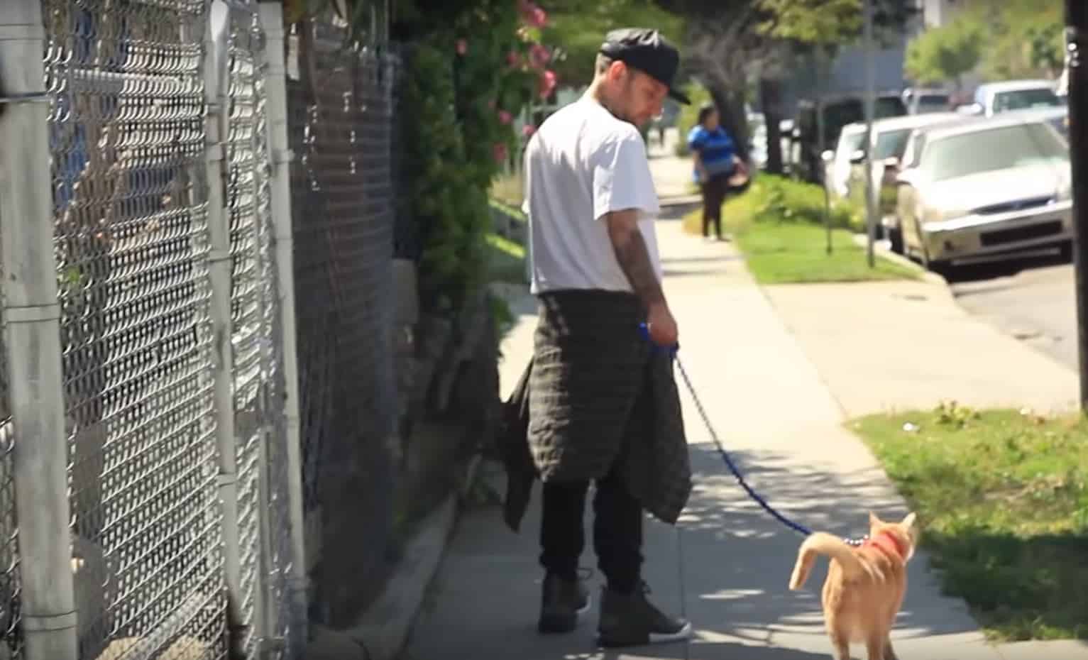 Rocco walking cat bubba